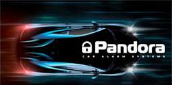 Pandora Car Security